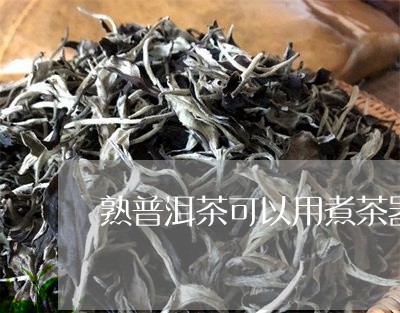 熟普洱茶可以用煮茶器吗/2023081765157