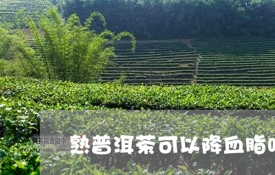 熟普洱茶可以降血脂吗/2023093073825