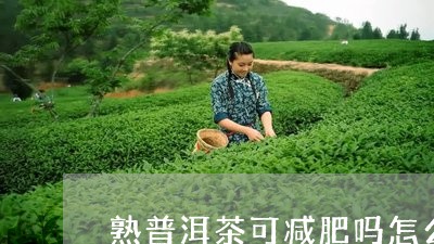 熟普洱茶可减肥吗怎么喝/2023110149682