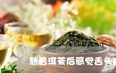 熟普洱茶后感觉舌头麻/2023061816049