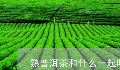 熟普洱茶和什么一起喝/2023072244826