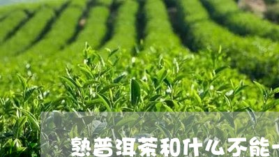 熟普洱茶和什么不能一起吃/2023051164026