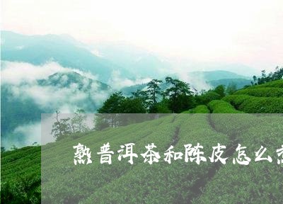 熟普洱茶和陈皮怎么煮/2023062165938