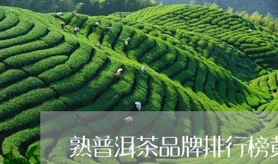 熟普洱茶品牌排行榜黄家寨普洱茶/2023060374937