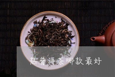 熟普洱茶哪款最好/2023120487603