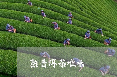 熟普洱茶堆味/2023042631189