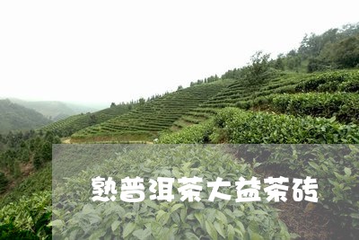 熟普洱茶大益茶砖/2023110910581