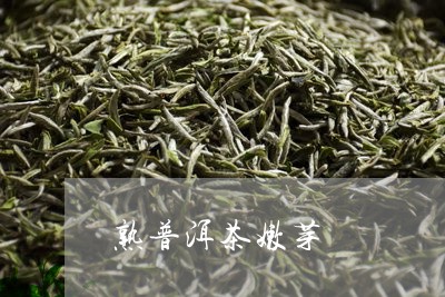 熟普洱茶嫩芽/2023042825853