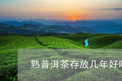 熟普洱茶存放几年好喝/2023100703539