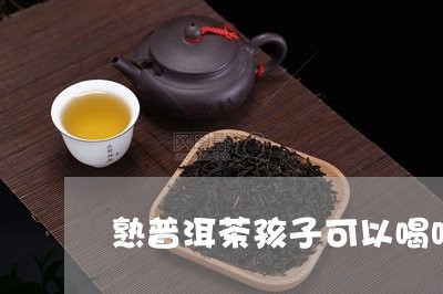 熟普洱茶孩子可以喝吗一岁/2023110274159