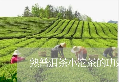 熟普洱茶小沱茶的功效与禁忌/2023121804936