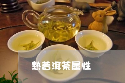 熟普洱茶属性/2023042942011