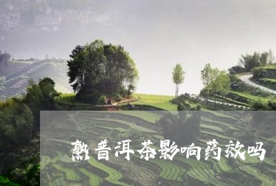 熟普洱茶影响药效吗/2023071004948