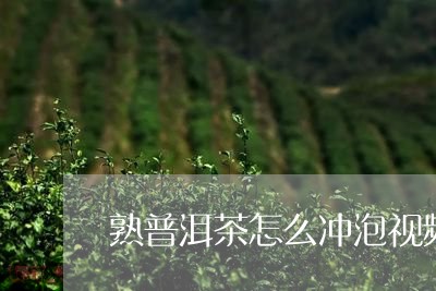 熟普洱茶怎么冲泡视频/2023062724850