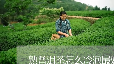 熟普洱茶怎么冷泡最好喝/2023081791614