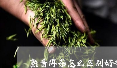 熟普洱茶怎么区别好坏/2023080203047