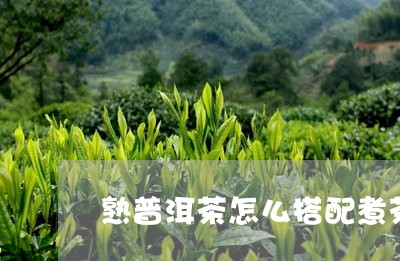 熟普洱茶怎么搭配煮茶喝/2023121819604