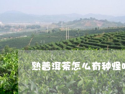 熟普洱茶怎么有种怪味/2023100512735