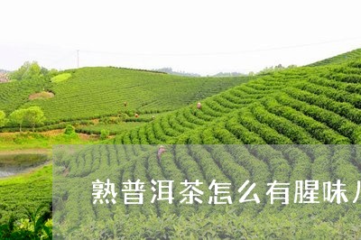 熟普洱茶怎么有腥味儿呢/2023103111805