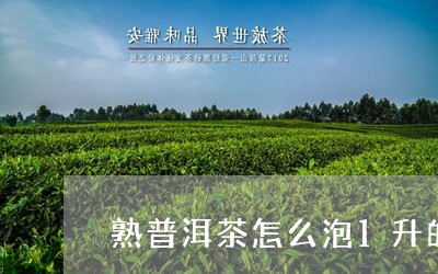 熟普洱茶怎么泡1升的茶/2023081597358