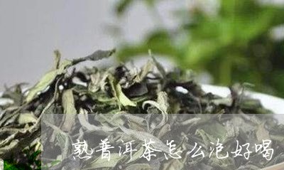 熟普洱茶怎么泡好喝/2023071134938