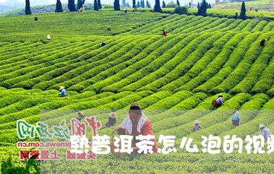 熟普洱茶怎么泡的视频/2023062412601