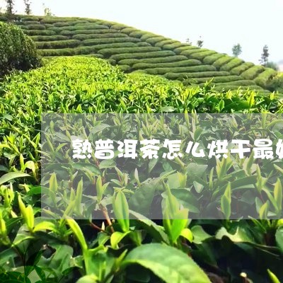 熟普洱茶怎么烘干最好呢/2023103147270