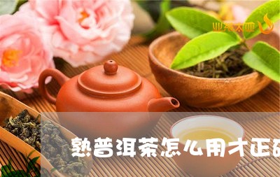 熟普洱茶怎么用才正确/2023062316037