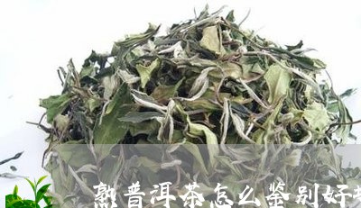 熟普洱茶怎么鉴别好坏图解/2023082589683