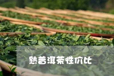 熟普洱茶性价比/2023102627371