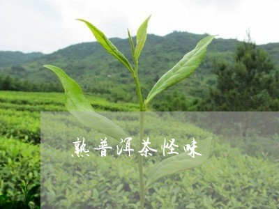 熟普洱茶怪味/2023042795348