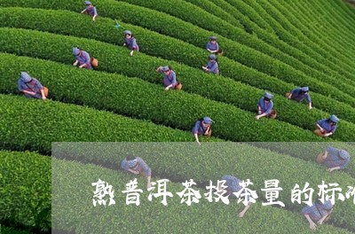 熟普洱茶投茶量的标准是多少/2023083121713