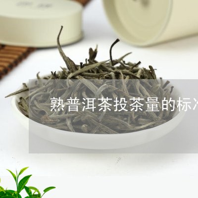 熟普洱茶投茶量的标准是多少克/2023121862037