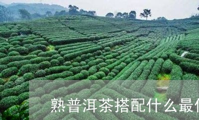 熟普洱茶搭配什么最佳/2023120799381