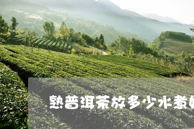 熟普洱茶放多少水煮好呢/2023112860403