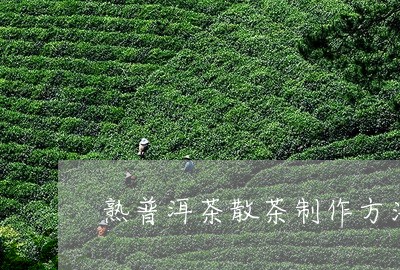 熟普洱茶散茶制作方法/2023120686258