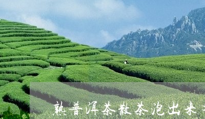 熟普洱茶散茶泡出来有点浑/2023081529413