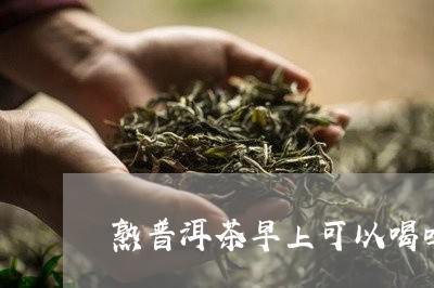 熟普洱茶早上可以喝吗/2023072438682