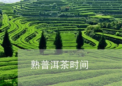 熟普洱茶时间/2023110767374