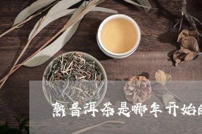 熟普洱茶是哪年开始的工艺/2023121810604