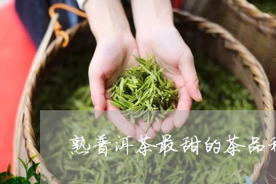 熟普洱茶最甜的茶品种排名/2023110711815