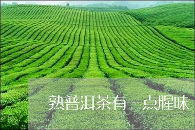 熟普洱茶有一点腥味/2023120578583