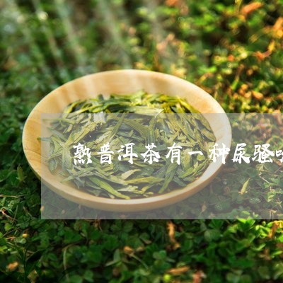 熟普洱茶有一种尿骚味/2023092514038