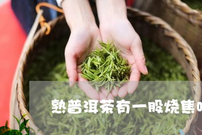 熟普洱茶有一股烧焦味/2023072112836