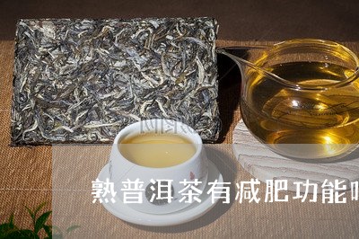 熟普洱茶有减肥功能吗/2023092897483