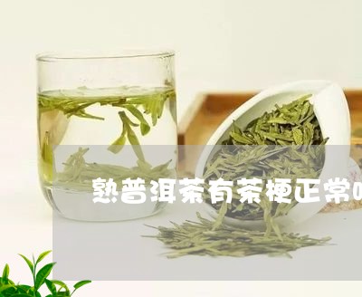 熟普洱茶有茶梗正常吗/2023062307061