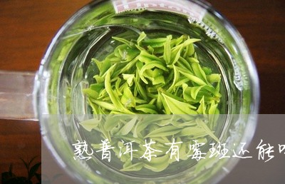 熟普洱茶有霉斑还能喝吗/2023110121515