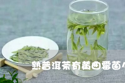 熟普洱茶有黄曲霉菌么/2023092634170