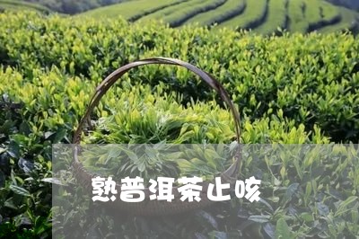 熟普洱茶止咳/2023042670389