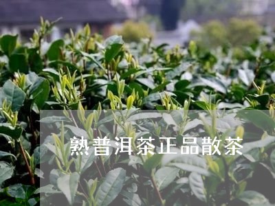 熟普洱茶正品散茶/2023083172815